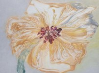 나희선 / 화무 / 72.7 x  90.9 …